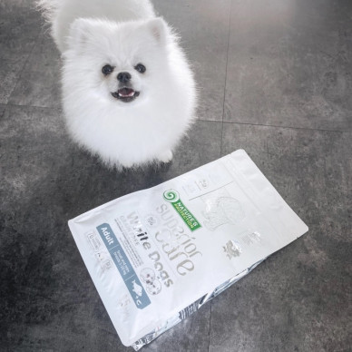 Superior Care White Dogs Grain Free Small & Mini Breeds Adult – hrană uscată fără cereale pentru câini adulți de talie mică și mini, cu pește alb, 1,5 kg